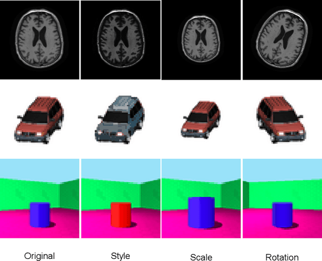 Figure 1 for A Tutorial on Learning Disentangled Representations in the Imaging Domain