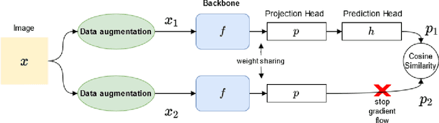 Figure 3 for Ablation study of self-supervised learning for image classification