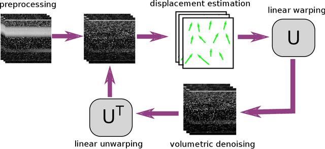 Figure 1 for Simultaneous reconstruction and displacement estimation for spectral-domain optical coherence elastography