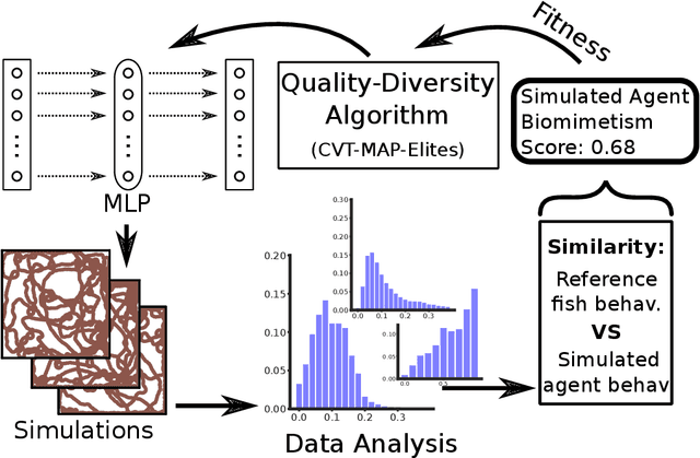 Figure 1 for Automatic Calibration of Artificial Neural Networks for Zebrafish Collective Behaviours using a Quality Diversity Algorithm