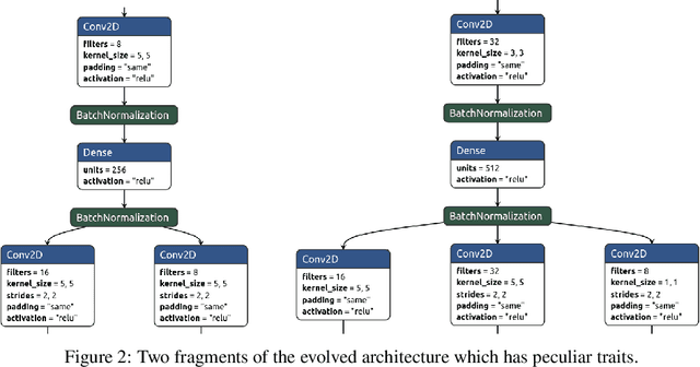 Figure 4 for Evolving Robust Neural Architectures to Defend from Adversarial Attacks