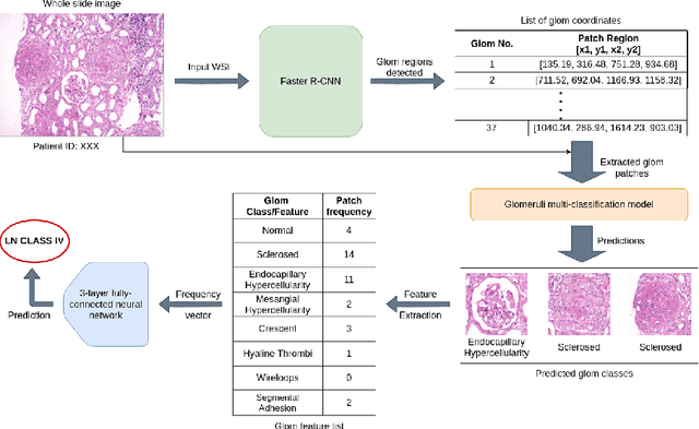 Figure 1 for Classification of histopathology images using ConvNets to detect Lupus Nephritis