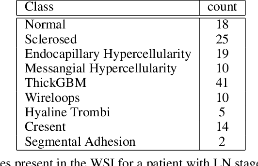 Figure 2 for Classification of histopathology images using ConvNets to detect Lupus Nephritis