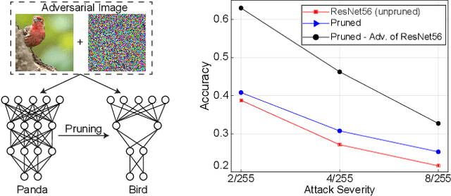 Figure 1 for On the Effect of Pruning on Adversarial Robustness