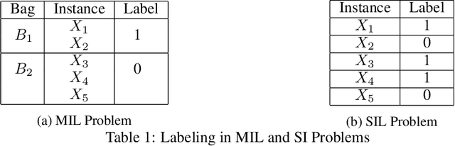 Figure 1 for Learning Maximally Predictive Prototypes in Multiple Instance Learning