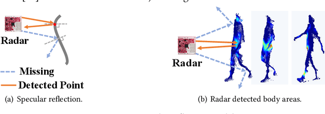 Figure 3 for Cross Vision-RF Gait Re-identification with Low-cost RGB-D Cameras and mmWave Radars