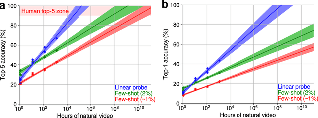 Figure 1 for How much "human-like" visual experience do current self-supervised learning algorithms need to achieve human-level object recognition?