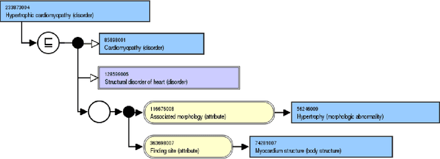 Figure 1 for Subsumptive reflection in SNOMED CT: a large description logic-based terminology for diagnosis