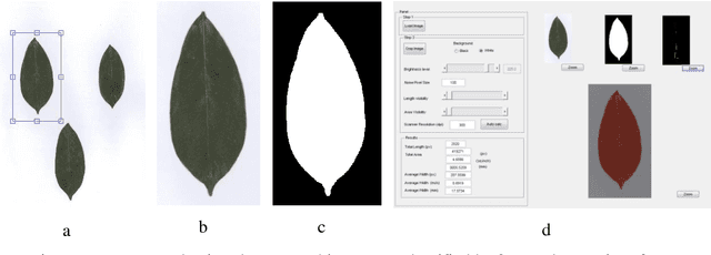 Figure 2 for An initial study on estimating area of a leaf using image processing