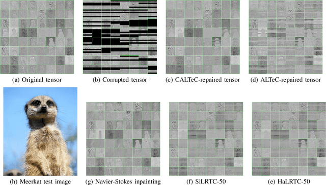 Figure 4 for DFTS2: Simulating Deep Feature Transmission Over Packet Loss Channels