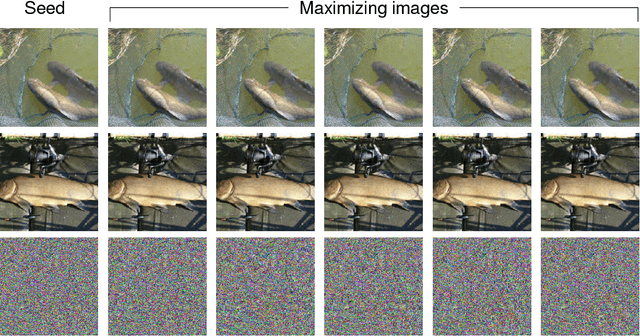 Figure 4 for Robustness properties of Facebook's ResNeXt WSL models
