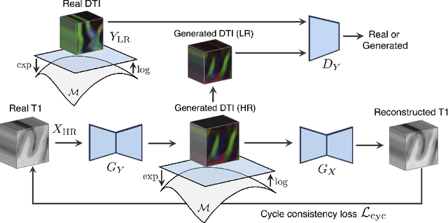 Figure 1 for Manifold-Aware CycleGAN for High Resolution Structural-to-DTI Synthesis