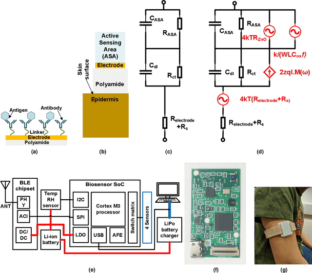 Figure 2 for Analysis of bio-electro-chemical signals from passive sweat-based wearable electro-impedance spectroscopy (EIS) towards assessing blood glucose modulations