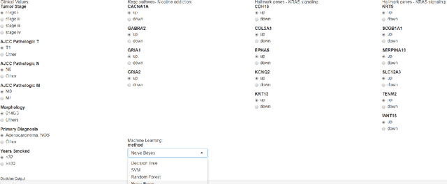 Figure 3 for AI-Decision Support System Interface Using Cancer Related Data for Lung Cancer Prognosis