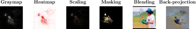Figure 4 for Software and application patterns for explanation methods