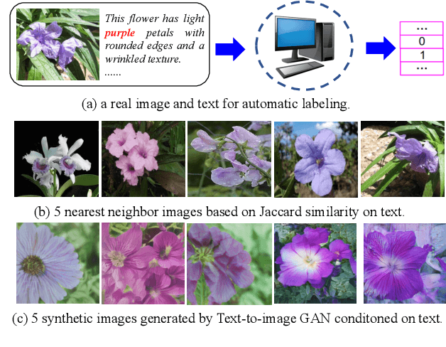 Figure 1 for VITAL: A Visual Interpretation on Text with Adversarial Learning for Image Labeling