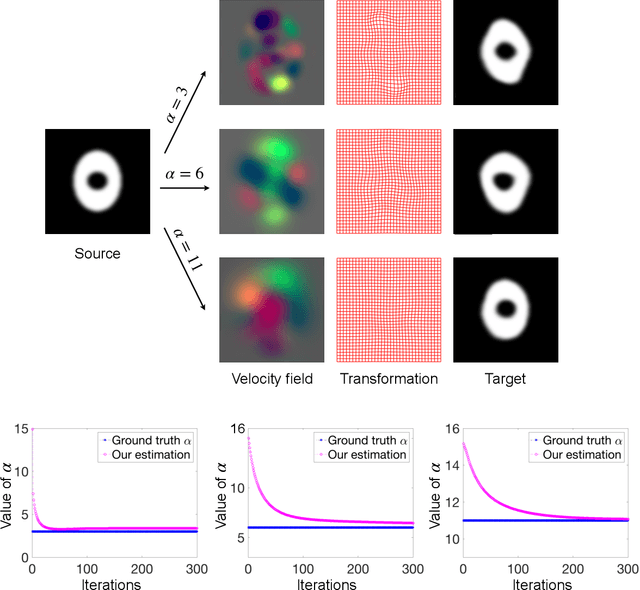 Figure 4 for Deep Learning for Regularization Prediction in Diffeomorphic Image Registration