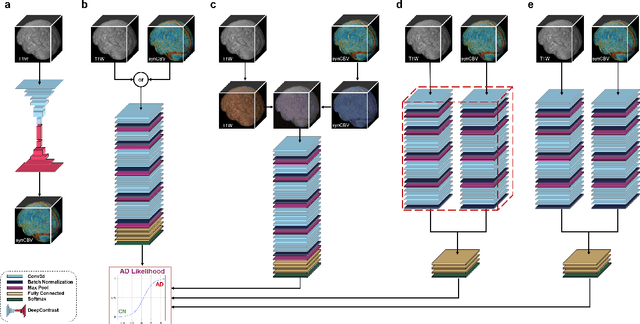 Figure 3 for Deep Learning Identifies Neuroimaging Signatures of Alzheimer's Disease Using Structural and Synthesized Functional MRI Data