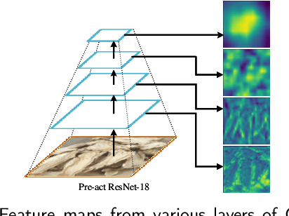 Figure 3 for Multiple Attentional Pyramid Networks for Chinese Herbal Recognition