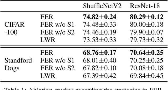 Figure 2 for Reducing Flipping Errors in Deep Neural Networks