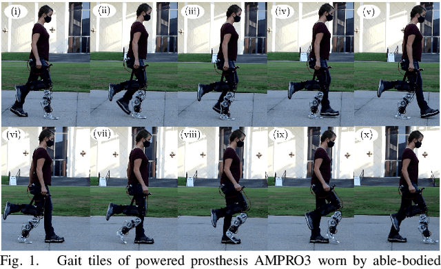 Figure 1 for Model-Dependent Prosthesis Control with Interaction Force Estimation