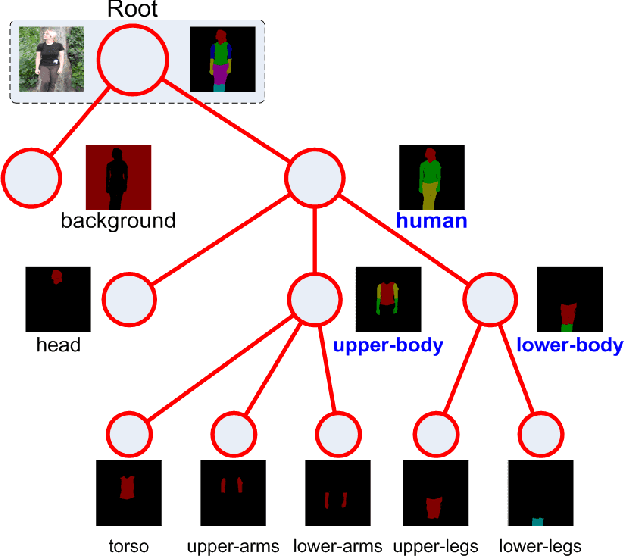 Figure 1 for Learning Semantic Neural Tree for Human Parsing
