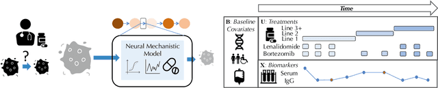 Figure 1 for Neural Pharmacodynamic State Space Modeling