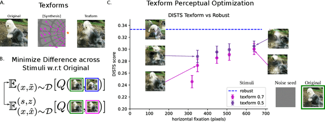 Figure 3 for Finding Biological Plausibility for Adversarially Robust Features via Metameric Tasks