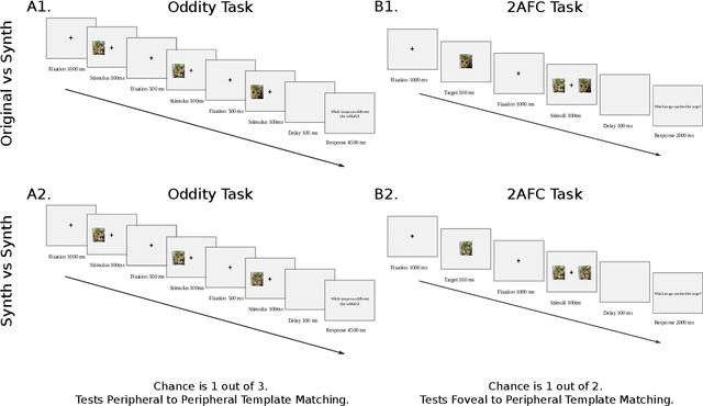 Figure 4 for Finding Biological Plausibility for Adversarially Robust Features via Metameric Tasks