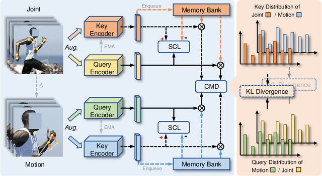 Figure 3 for CMD: Self-supervised 3D Action Representation Learning with Cross-modal Mutual Distillation