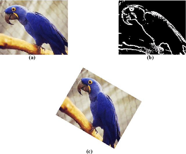 Figure 4 for Scilab and SIP for Image Processing