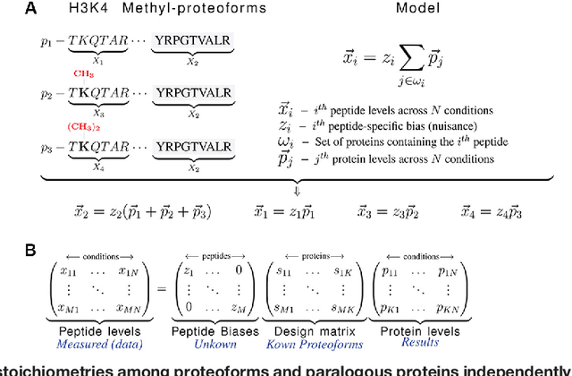 Figure 1 for Quantifying homologous proteins and proteoforms