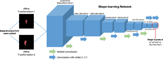 Figure 1 for 3D Deep Affine-Invariant Shape Learning for Brain MR Image Segmentation