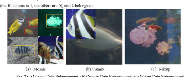 Figure 1 for Research on Optimization Method of Multi-scale Fish Target Fast Detection Network