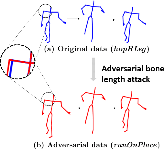 Figure 1 for Adversarial Bone Length Attack on Action Recognition