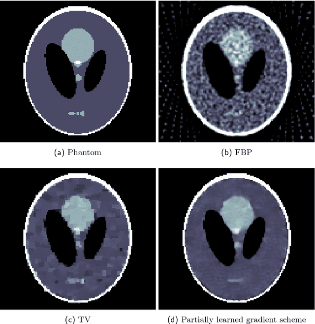 Figure 2 for Solving ill-posed inverse problems using iterative deep neural networks