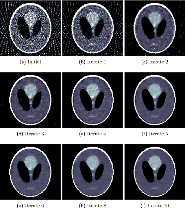 Figure 4 for Solving ill-posed inverse problems using iterative deep neural networks