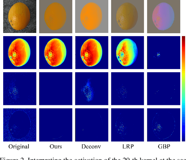 Figure 2 for Understanding of Kernels in CNN Models by Suppressing Irrelevant Visual Features in Images