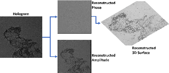 Figure 1 for Deep DIH : Statistically Inferred Reconstruction of Digital In-Line Holography by Deep Learning