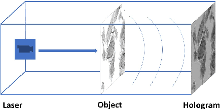 Figure 2 for Deep DIH : Statistically Inferred Reconstruction of Digital In-Line Holography by Deep Learning