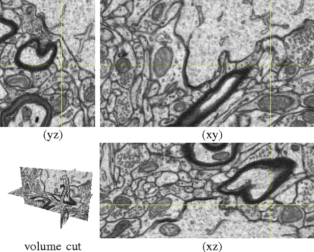 Figure 1 for Geometry in Active Learning for Binary and Multi-class Image Segmentation