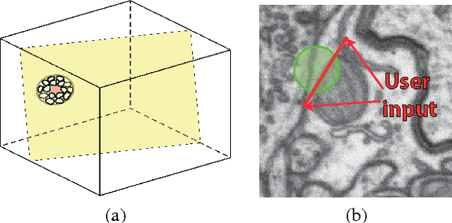 Figure 3 for Geometry in Active Learning for Binary and Multi-class Image Segmentation