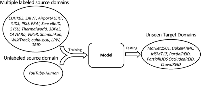 Figure 1 for Semi-Supervised Domain Generalizable Person Re-Identification