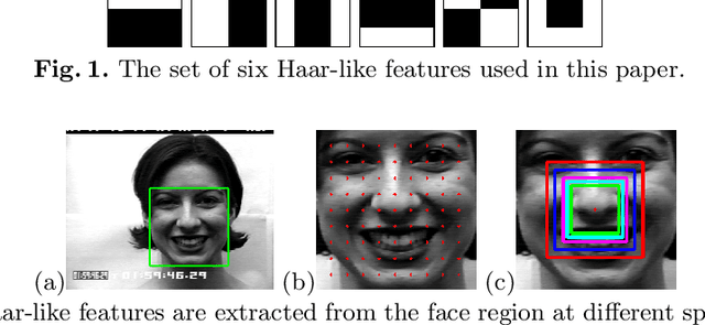 Figure 1 for Ensemble of Hankel Matrices for Face Emotion Recognition