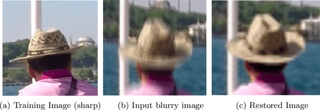 Figure 1 for Blind Motion Deblurring through SinGAN Architecture