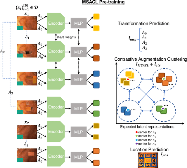 Figure 1 for Multi-centred Strong Augmentation via Contrastive Learning for Unsupervised Lesion Detection and Segmentation