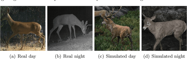 Figure 2 for Domain Adaptation for Rare Classes Augmented with Synthetic Samples