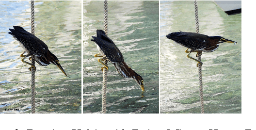 Figure 1 for Green Heron Swarm Optimization Algorithm - State-of-the-Art of a New Nature Inspired Discrete Meta-Heuristics