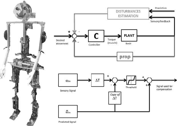 Figure 2 for The Importance of Models in Data Analysis with Small Human Movement Datasets -- Inspirations from Neurorobotics Applied to Posture Control of Humanoids and Humans