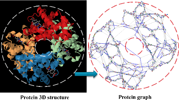 Figure 1 for ProtNN: Fast and Accurate Nearest Neighbor Protein Function Prediction based on Graph Embedding in Structural and Topological Space
